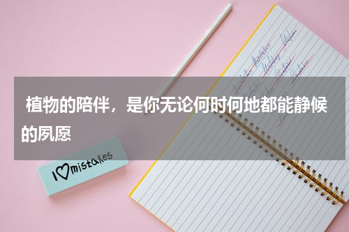  植物的陪伴，是你无论何时何地都能静候的夙愿