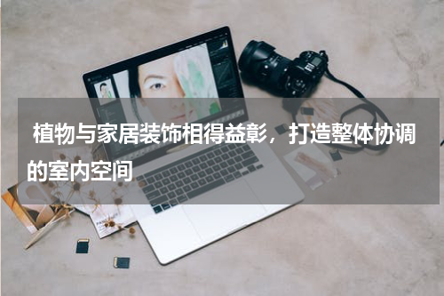  植物与家居装饰相得益彰，打造整体协调的室内空间