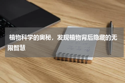  植物科学的奥秘，发现植物背后隐藏的无限智慧