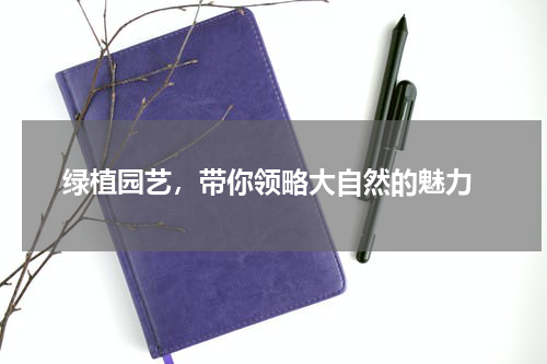  绿植园艺，带你领略大自然的魅力