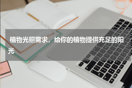  植物光照需求，给你的植物提供充足的阳光