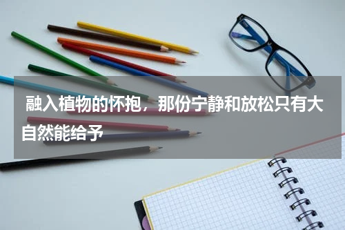  融入植物的怀抱，那份宁静和放松只有大自然能给予