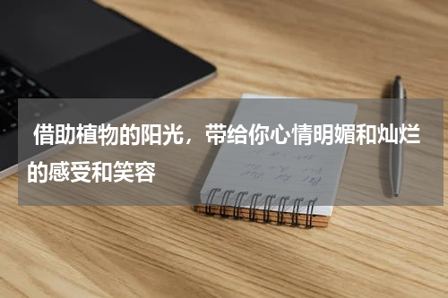  借助植物的阳光，带给你心情明媚和灿烂的感受和笑容
