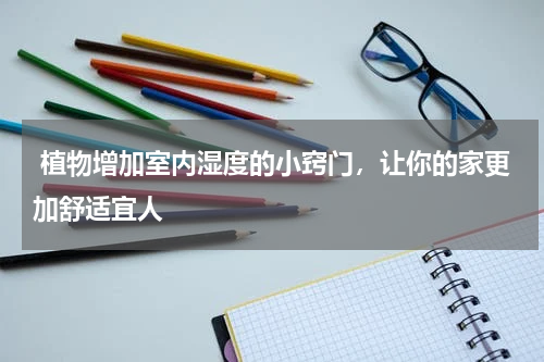 植物增加室内湿度的小窍门，让你的家更加舒适宜人