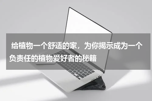  给植物一个舒适的家，为你揭示成为一个负责任的植物爱好者的秘籍