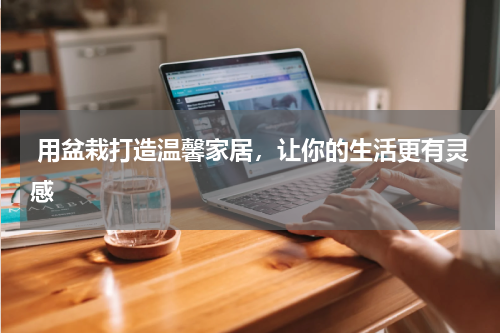  用盆栽打造温馨家居，让你的生活更有灵感
