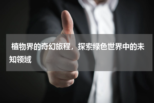  植物界的奇幻旅程，探索绿色世界中的未知领域