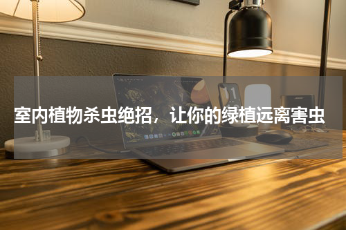  室内植物杀虫绝招，让你的绿植远离害虫