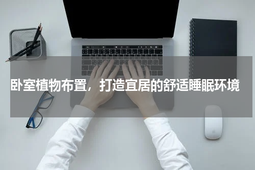  卧室植物布置，打造宜居的舒适睡眠环境