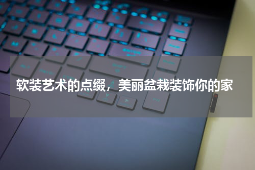  软装艺术的点缀，美丽盆栽装饰你的家