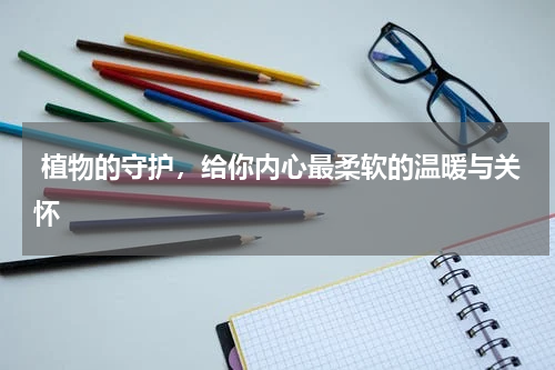  植物的守护，给你内心最柔软的温暖与关怀