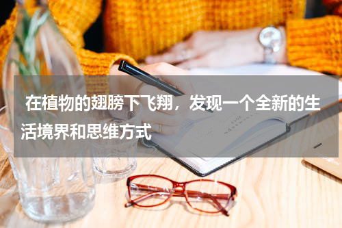  在植物的翅膀下飞翔，发现一个全新的生活境界和思维方式