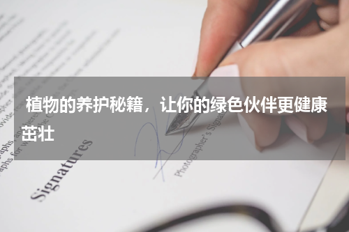  植物的养护秘籍，让你的绿色伙伴更健康茁壮