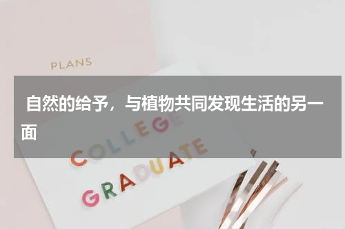  自然的给予，与植物共同发现生活的另一面