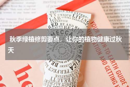  秋季绿植修剪要点，让你的植物健康过秋天