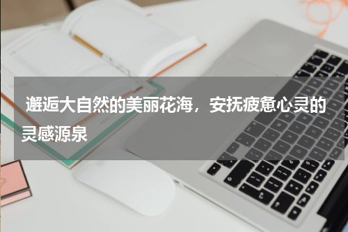  邂逅大自然的美丽花海，安抚疲惫心灵的灵感源泉
