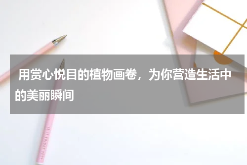  用赏心悦目的植物画卷，为你营造生活中的美丽瞬间