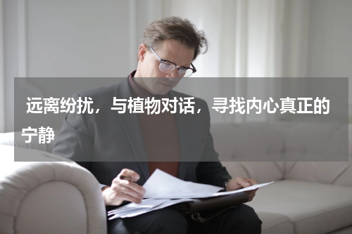  远离纷扰，与植物对话，寻找内心真正的宁静