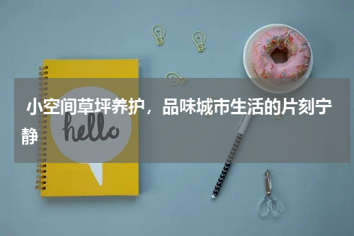  小空间草坪养护，品味城市生活的片刻宁静