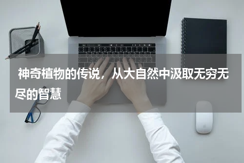  神奇植物的传说，从大自然中汲取无穷无尽的智慧