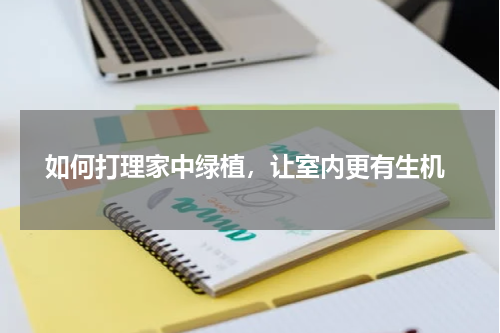  如何打理家中绿植，让室内更有生机
