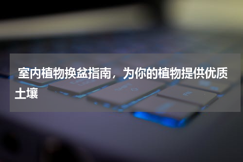  室内植物换盆指南，为你的植物提供优质土壤
