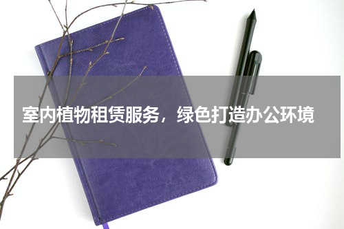 室内植物租赁服务，绿色打造办公环境