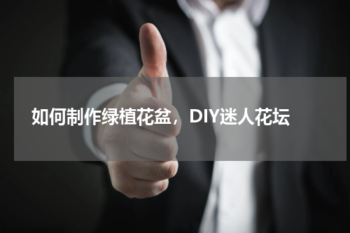  如何制作绿植花盆，DIY迷人花坛