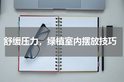  舒缓压力，绿植室内摆放技巧