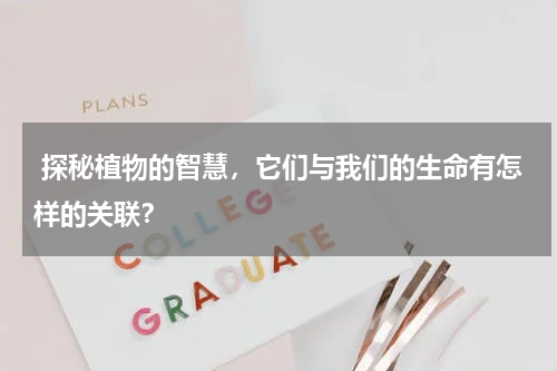  探秘植物的智慧，它们与我们的生命有怎样的关联？