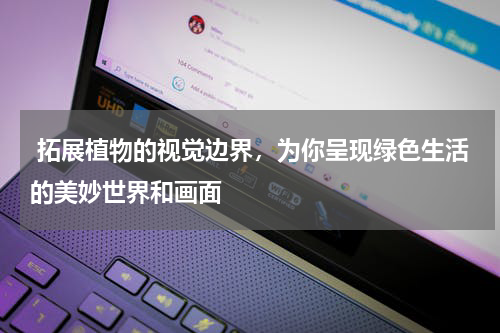  拓展植物的视觉边界，为你呈现绿色生活的美妙世界和画面