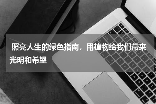  照亮人生的绿色指南，用植物给我们带来光明和希望