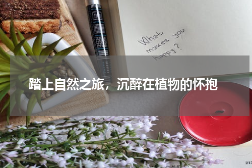  踏上自然之旅，沉醉在植物的怀抱