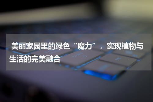  美丽家园里的绿色“魔力”，实现植物与生活的完美融合