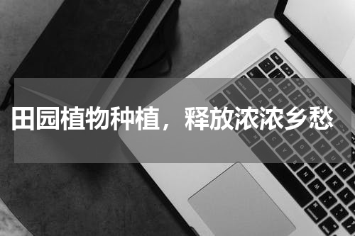 田园植物种植，释放浓浓乡愁
