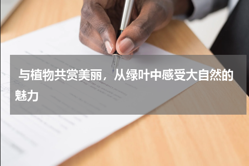  与植物共赏美丽，从绿叶中感受大自然的魅力