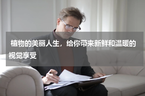  植物的美丽人生，给你带来新鲜和温暖的视觉享受