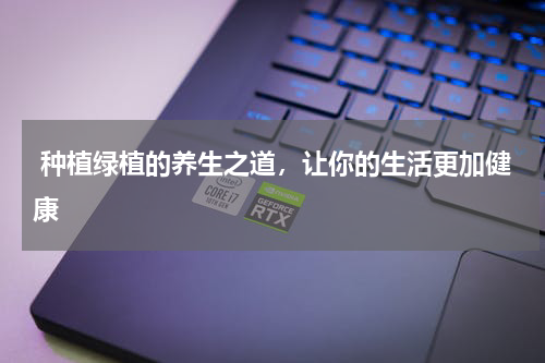  种植绿植的养生之道，让你的生活更加健康