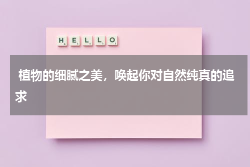  植物的细腻之美，唤起你对自然纯真的追求