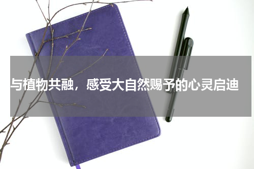  与植物共融，感受大自然赐予的心灵启迪