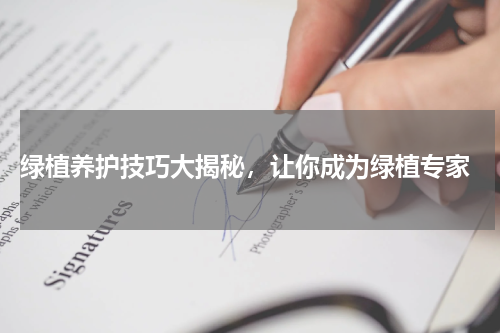  绿植养护技巧大揭秘，让你成为绿植专家