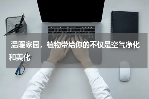  温暖家园，植物带给你的不仅是空气净化和美化