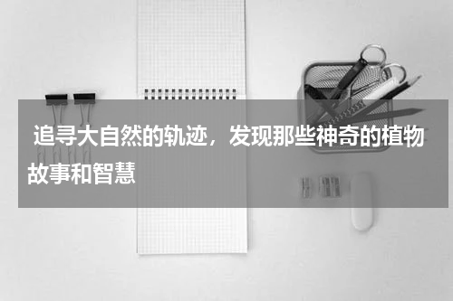  追寻大自然的轨迹，发现那些神奇的植物故事和智慧