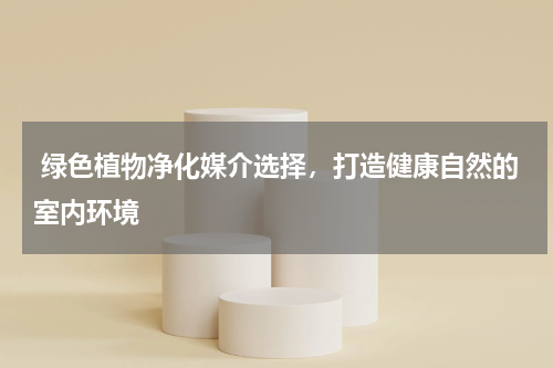  绿色植物净化媒介选择，打造健康自然的室内环境