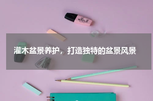  灌木盆景养护，打造独特的盆景风景