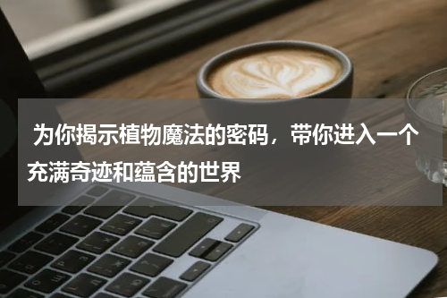  为你揭示植物魔法的密码，带你进入一个充满奇迹和蕴含的世界