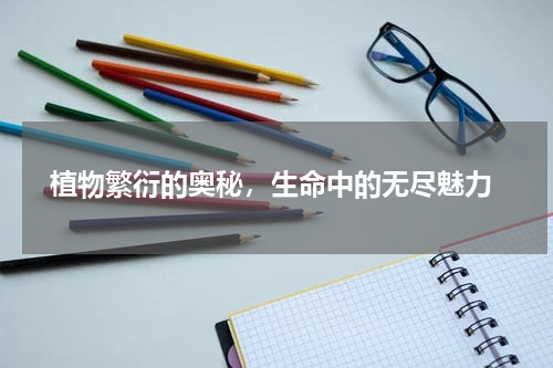  植物繁衍的奥秘，生命中的无尽魅力