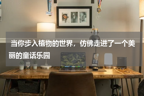  当你步入植物的世界，仿佛走进了一个美丽的童话乐园