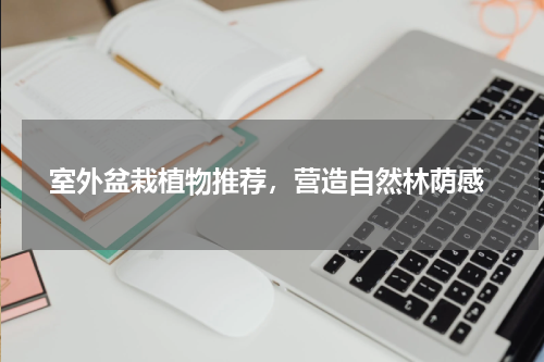  室外盆栽植物推荐，营造自然林荫感