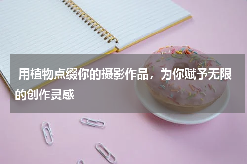  用植物点缀你的摄影作品，为你赋予无限的创作灵感